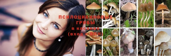 СК Верхний Тагил