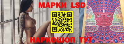 скорость Дубна