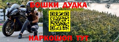скорость Дубна