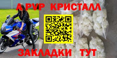 прущие крисы Донской