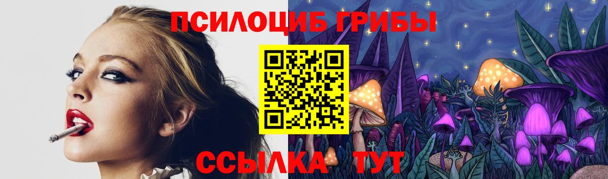 Можайск  Галлюциногенные грибы Psilocybe  Вход с VPN 