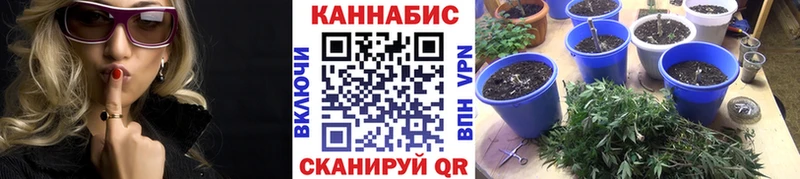 Конопля VHQ Можайск