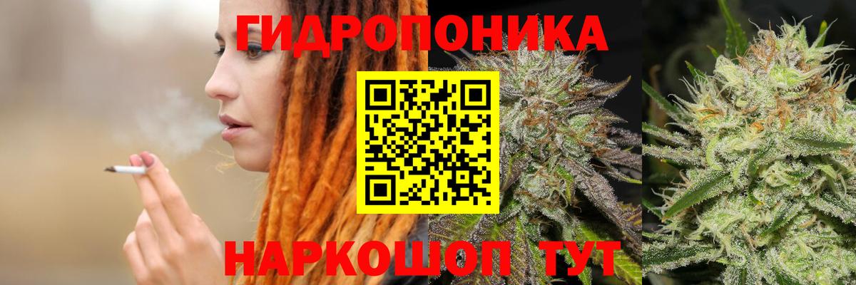Шишки марихуана White Widow  Бошки Шишки Bruce Banner  Можайск  Вход с VPN  Бошки Шишки план  Конопля планчик 